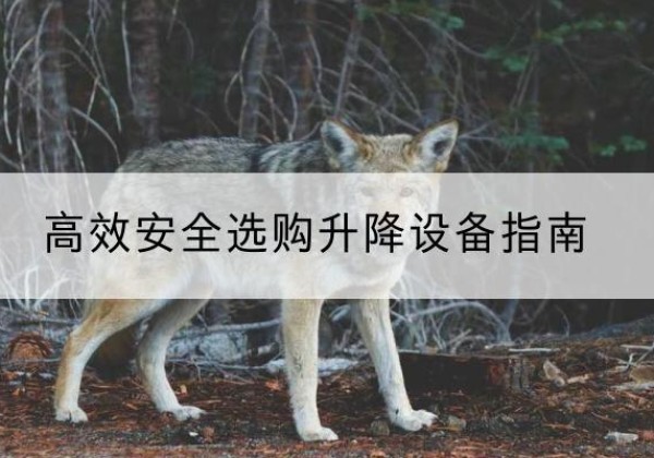 渭城升降货梯厂家推荐-*安全选购升降设备指南