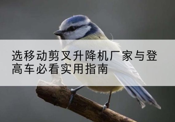 渭城电动升降机厂家-选移动剪叉升降机厂家与登高车必看实用指南