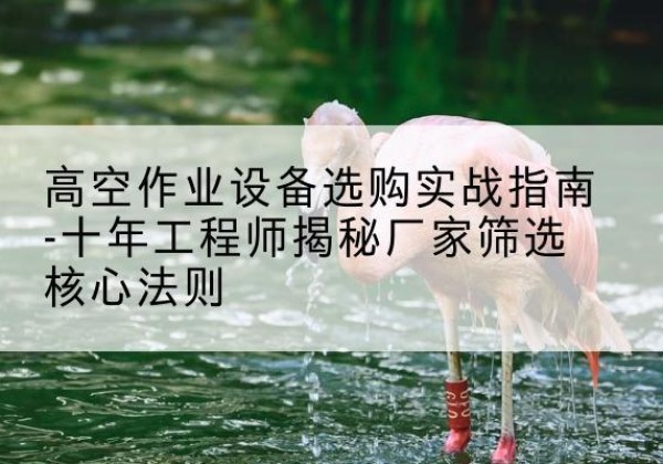 渭城剪叉式升降机厂家-高空作业设备选购实战指南-十年工程师揭秘厂家筛选核心法则